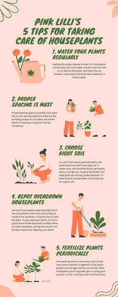 National House Plant Day And The Top 5 Reasons Why You Should Have Them!